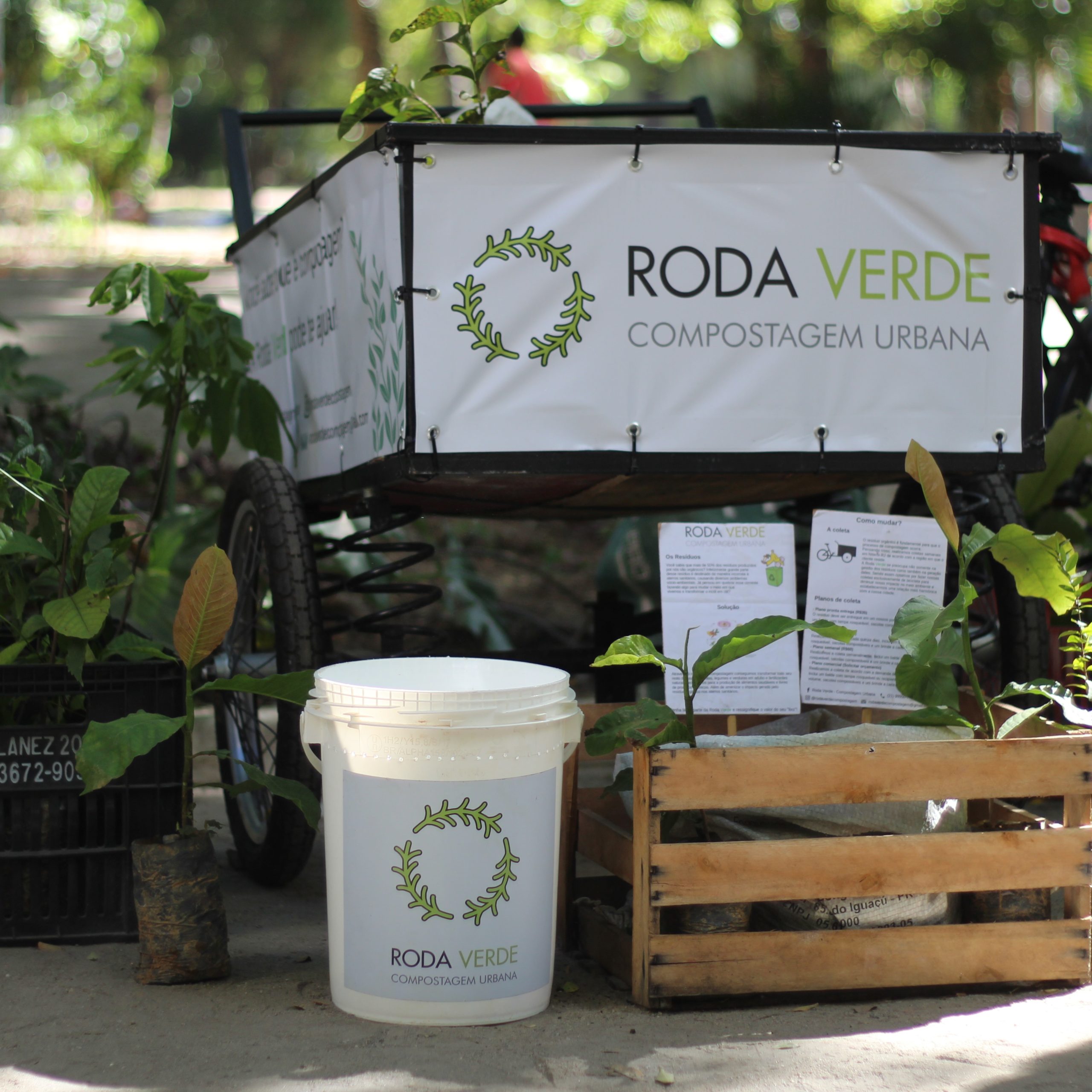 roda verde stand
